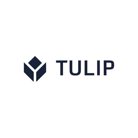 Tulip