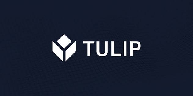 Tulip